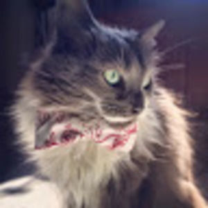 Meet your Posher, Annette